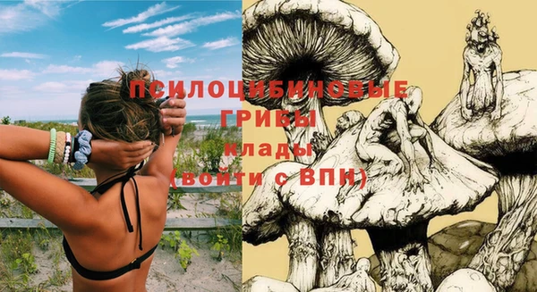 трава Алексеевка