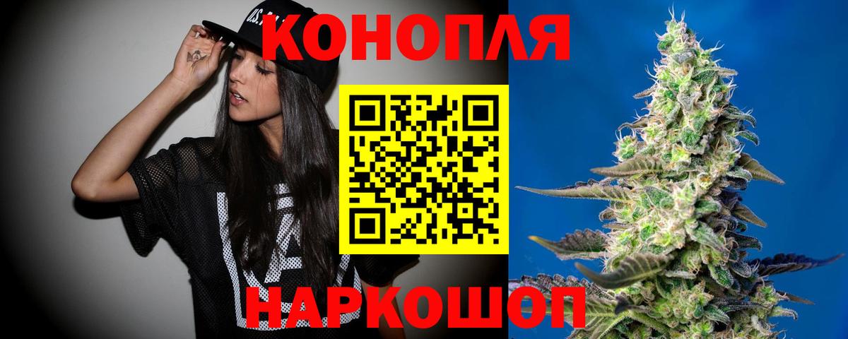 Канабис планчик Курчалой
